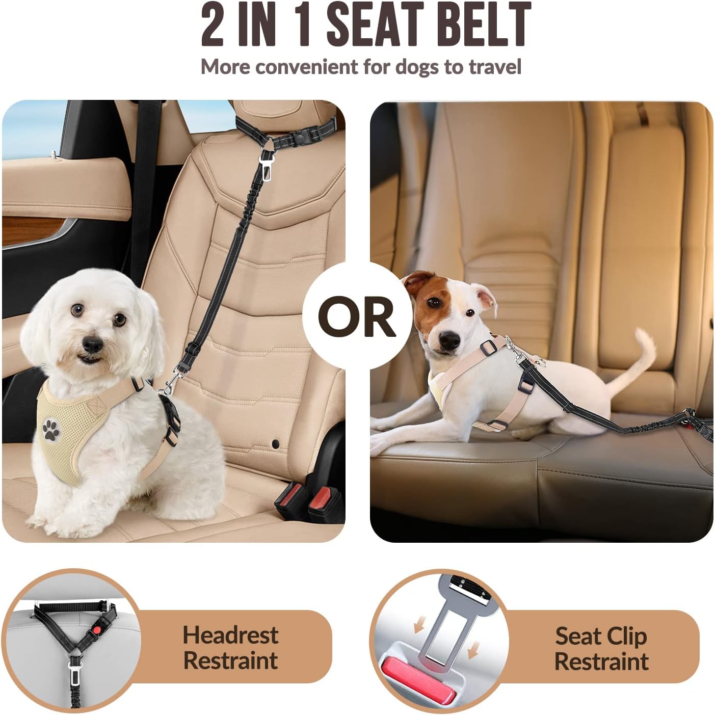 Ceinture de sécurité pour chie - Swing Seat Belt avis et prix