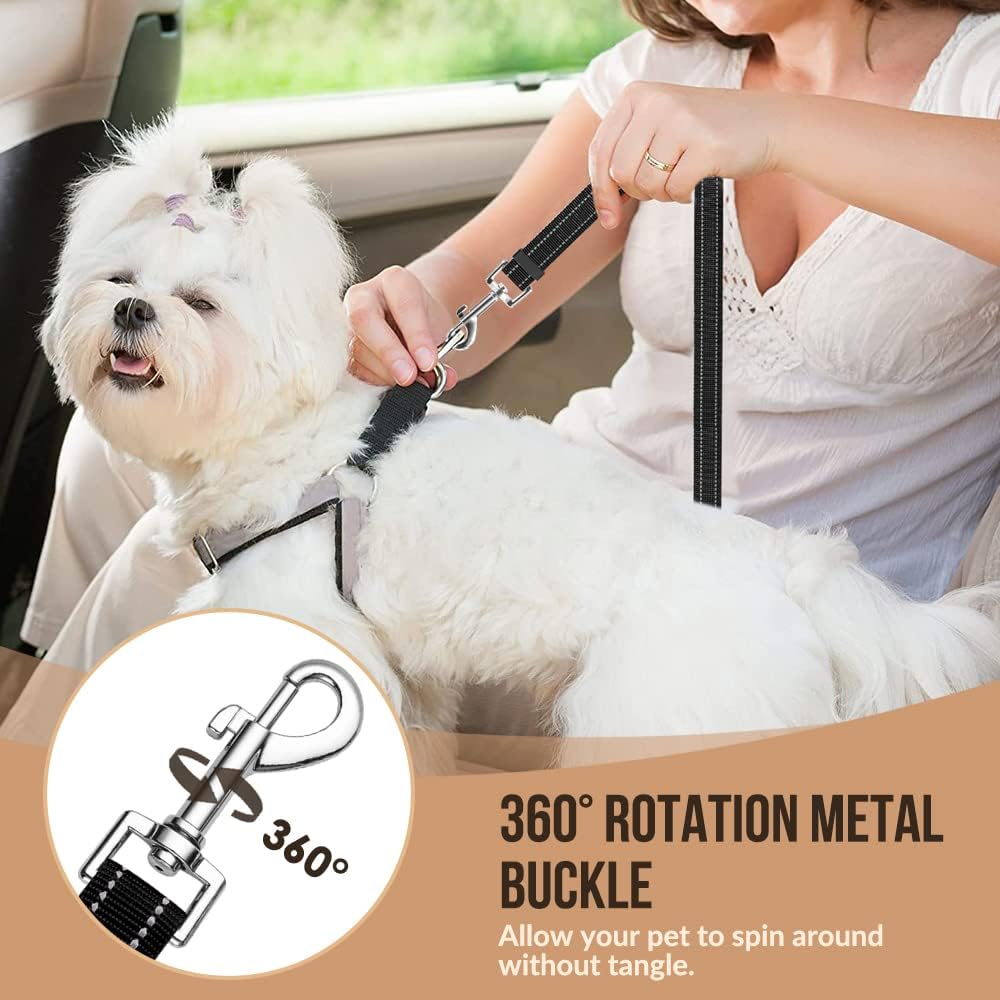 Ceinture de sécurité pour chie - Swing Seat Belt avis et prix