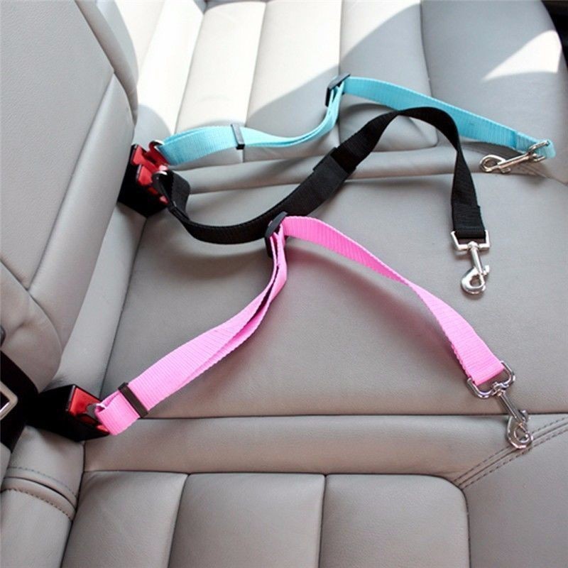 Harnais de sécurité pour chat  - Swing Seat Belt avis et prix