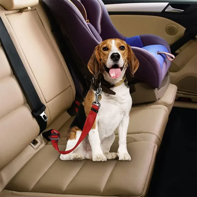 Ceinture de sécurité pour chie - Swing Seat Belt avis et prix
