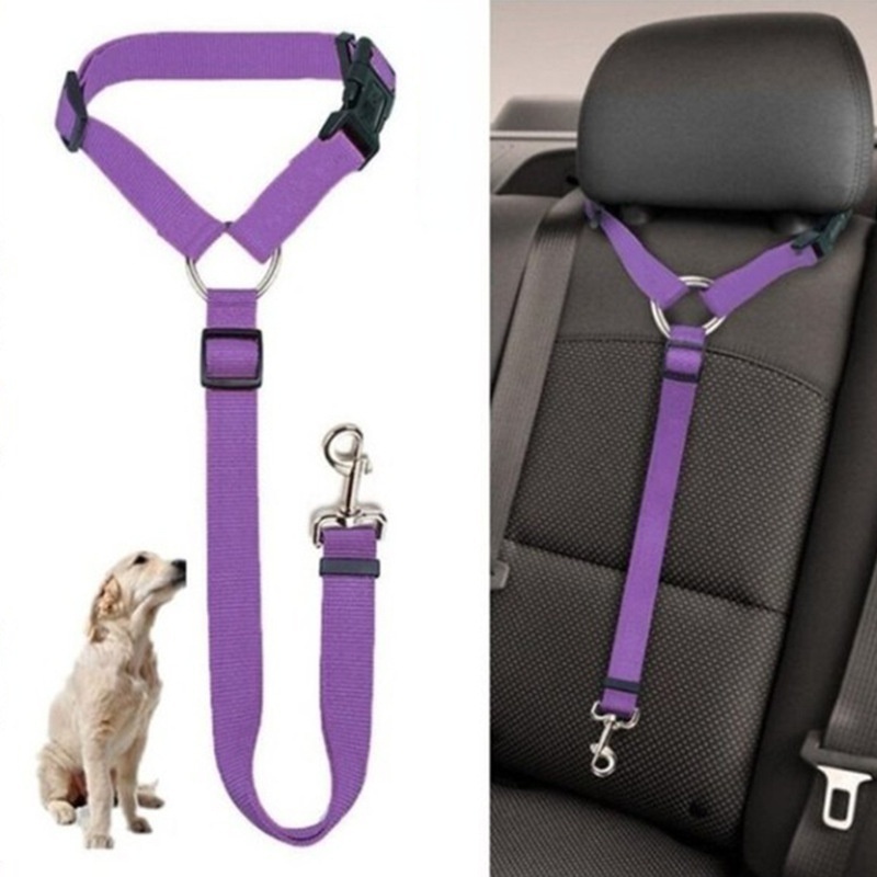 Ceinture de sécurité réglable  - Swing Seat Belt avis et prix