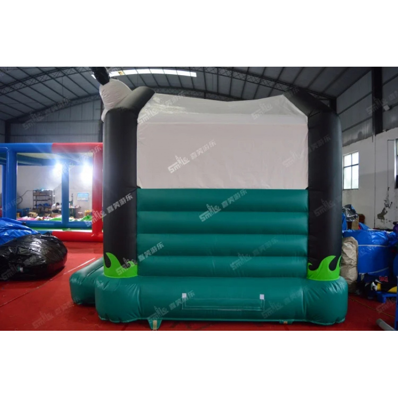Château gonflable Panda de 13  - Kids Outdoor Jumping Castle avis et prix